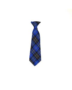 Oriel Academy Tie
