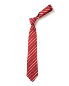 Hampton High Tie